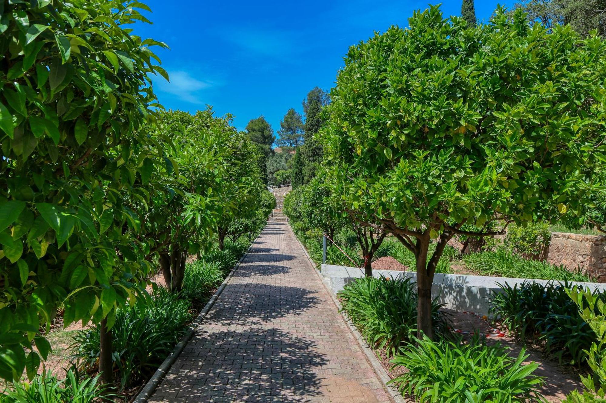 Domaine Des Gueules Cassees Hotel La Valette-du-Var Exterior foto