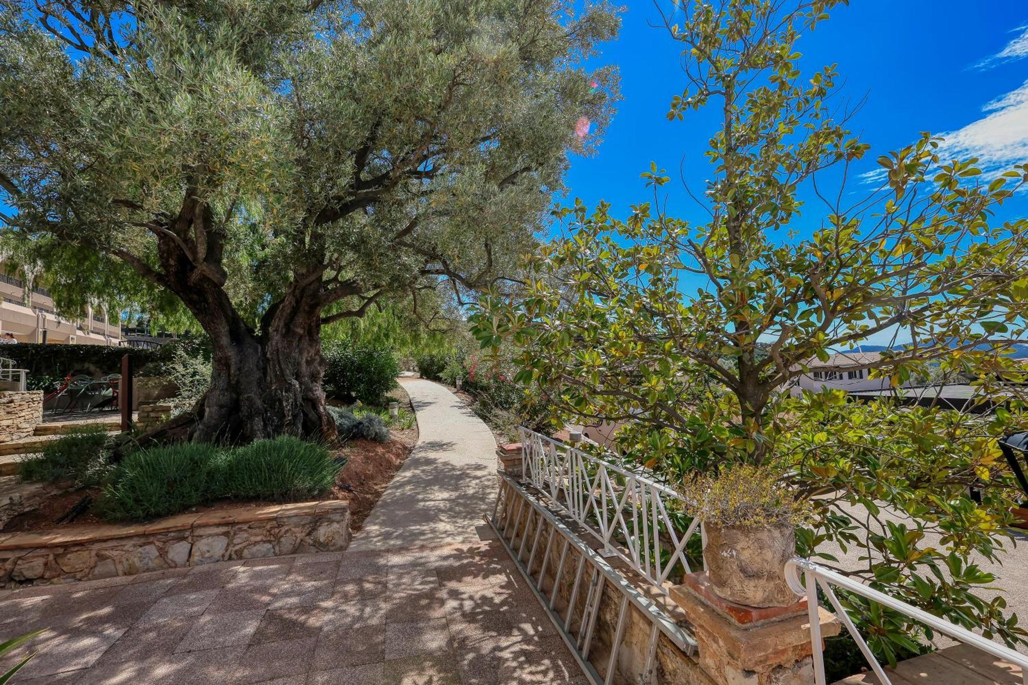 Domaine Des Gueules Cassees Hotel La Valette-du-Var Exterior foto